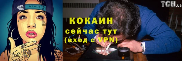 стаф Армянск