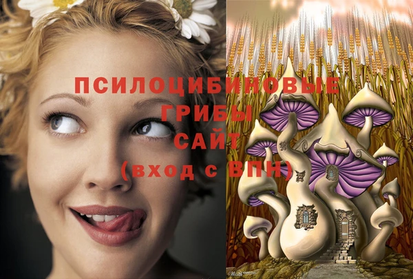МДМА Аркадак